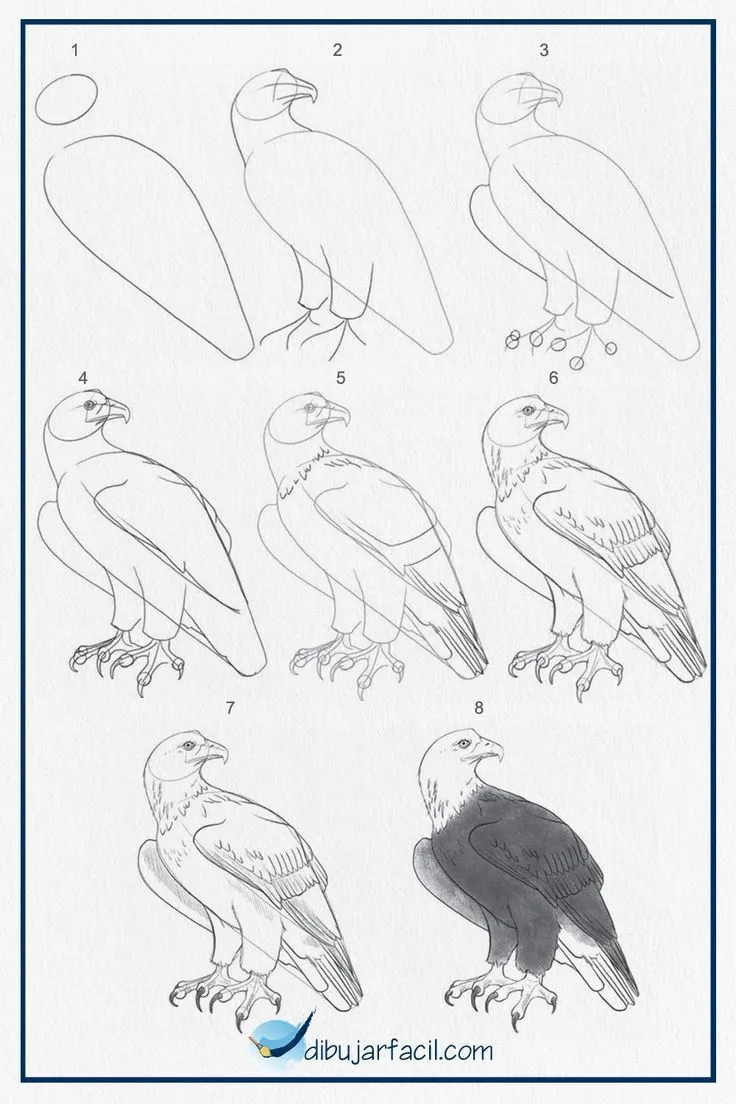 Aguila Dibujo Facil. en 2023 | Aguila dibujo, Aguila para dibujar, Cómo dibujar aves Aguila Dibujo Facil. en 2023 | Aguila dibujo, Aguila para dibujar, Cómo dibujar aves