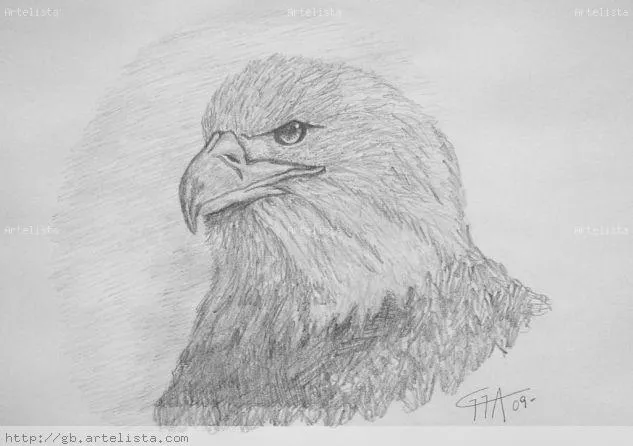 Aguila Gabriela Fernanda García Arcalá - Artelista.com Aguila Gabriela Fernanda García Arcalá - Artelista.com