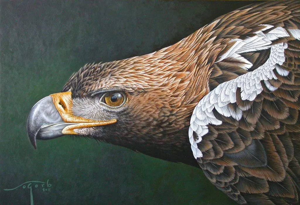 Águila imperial Lluis Sogorb - Artelista.