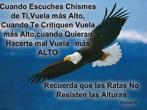 Aguila | Mensajes Positivos | Pinterest