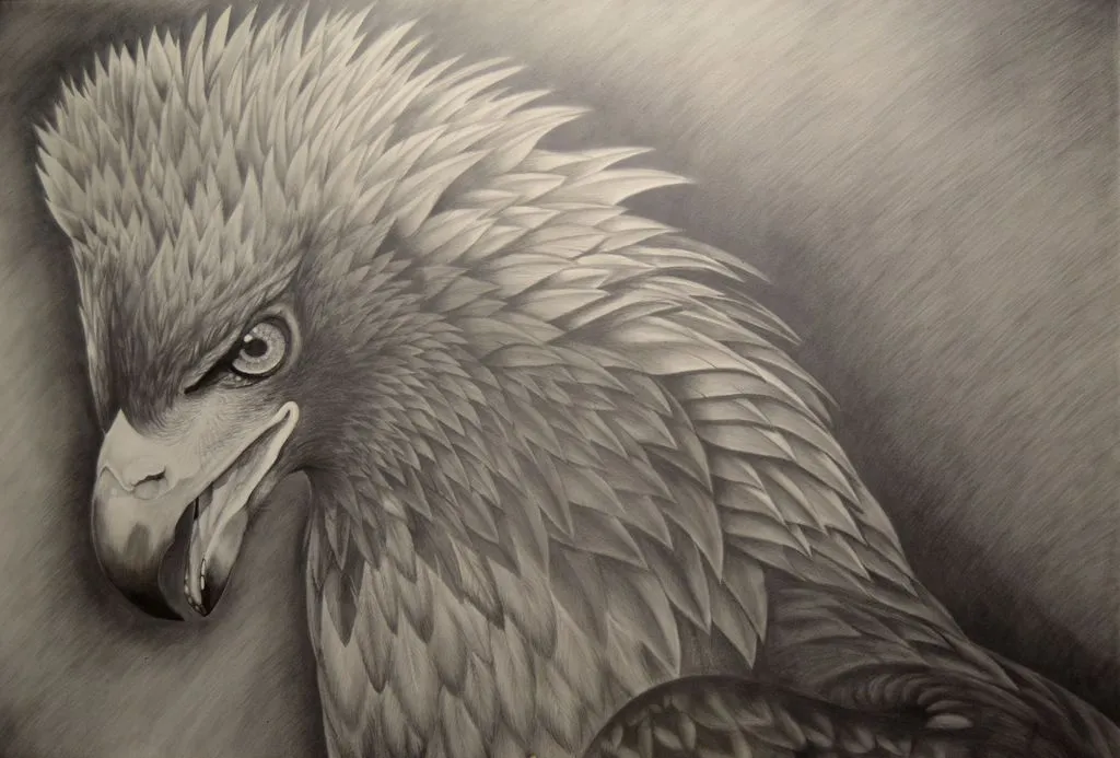 águila real david montes alonso - Artelista. águila real david montes alonso - Artelista.
