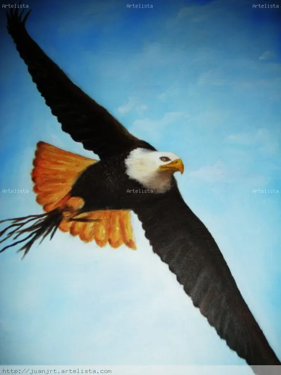 aguila volando juan jose Ramos - Artelista.