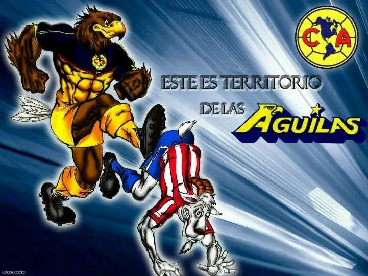 AGUILAS DEL AMERICA @alessruiz's photo: "De la serie: Mascotas del ... AGUILAS DEL AMERICA @alessruiz's photo: "De la serie: Mascotas del ...