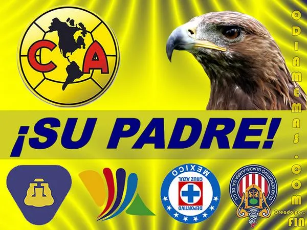 Imagenes de la america aguilas - Imagui