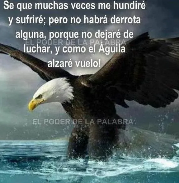 Como las aguilas | frases sabias | Pinterest