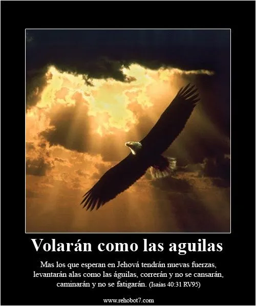 como las águilas | Mensajes al espíritu | Pinterest como las águilas | Mensajes al espíritu | Pinterest