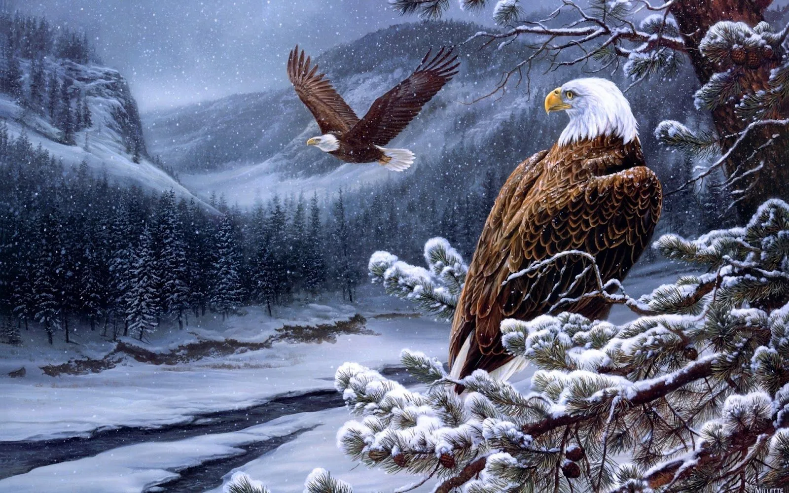 Aguilas en la Nieve - Fondos de Pantalla HD - Wallpapers HD Aguilas en la Nieve - Fondos de Pantalla HD - Wallpapers HD
