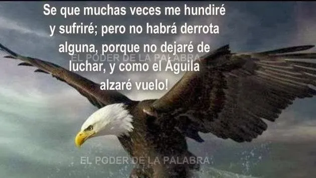 Las aguilas valientes - Google+