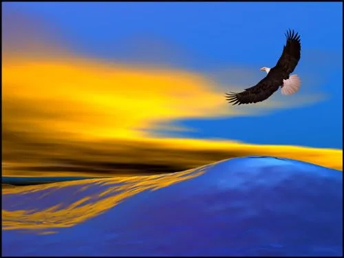 Aguilas volando paisajes - Imagui
