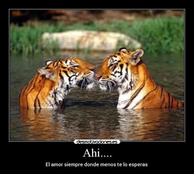 Ahi.... | Desmotivaciones
