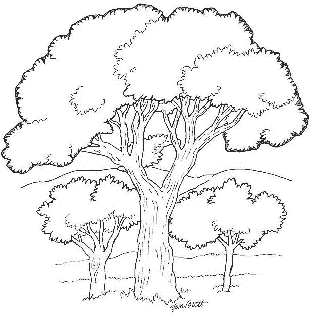 AhiVa! PequeNautas - Plantillas para colorear - Arboles - Arboles AhiVa! PequeNautas - Plantillas para colorear - Arboles - Arboles