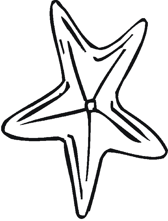 AhiVa! PequeNautas - Plantillas para colorear - Animales - Estrellas de Mar AhiVa! PequeNautas - Plantillas para colorear - Animales - Estrellas de Mar