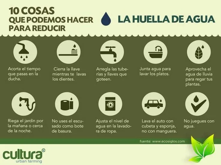 Ahorrar agua, 10 consejos básicos-Casas Ecológicas