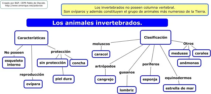 a_invertebrados.html