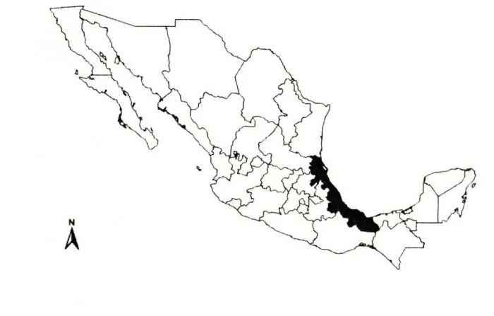 Aires y lluvias. Antropología del clima en México - El fenómeno de ...