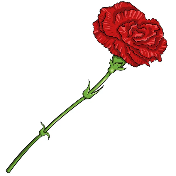 Aislados de dibujos animados Vector clavel rojo - de la ... Aislados de dibujos animados Vector clavel rojo - de la ...