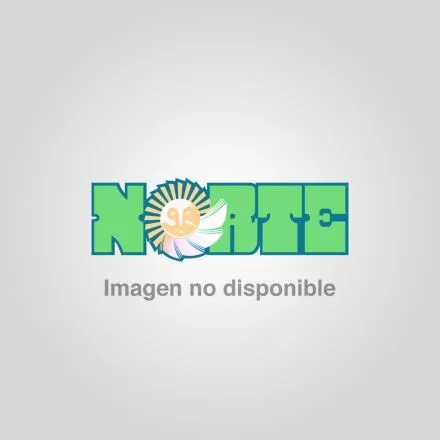 Akhal Teke el caballo más hermoso del mundo | Diario Norte Chaco Akhal Teke el caballo más hermoso del mundo | Diario Norte Chaco
