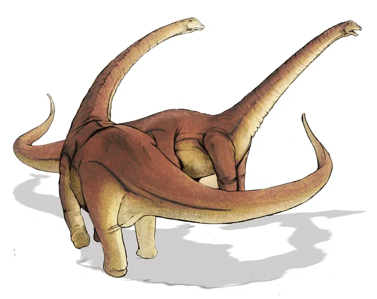 Alamosaurio, un gran dinosaurio de 10 metros de altura | Imagenes ...