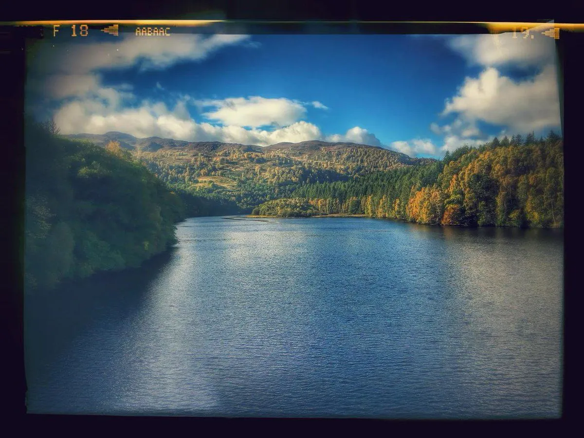 Alan Masterson (@paratiger) | Twitter