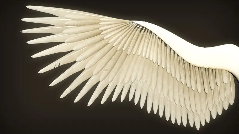 Alas de angel animadas - CG-Node
