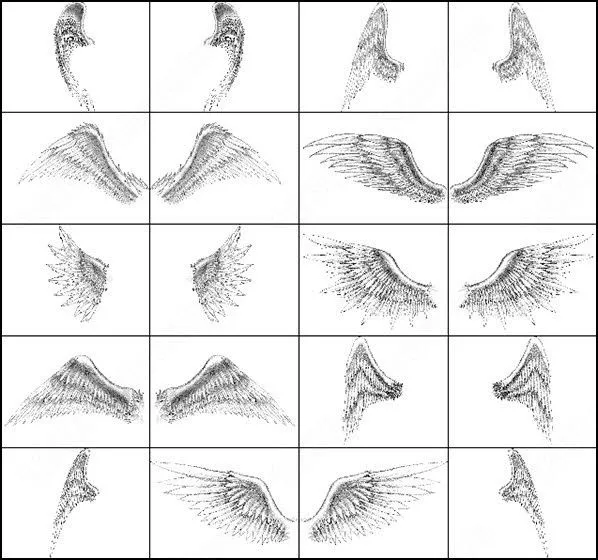 Alas de ángel cepillo Photoshop Brushes para su descarga gratuita Alas de ángel cepillo Photoshop Brushes para su descarga gratuita