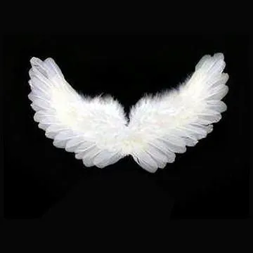 Alas de angel para niños - Imagui
