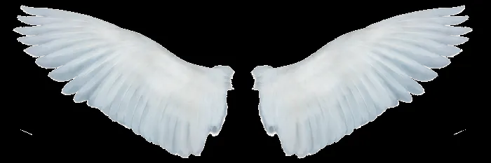 Alas de angel Photoshop - Imagui