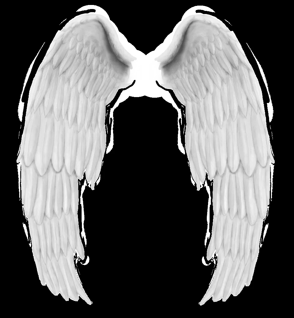 Alas de angel en png - Imagui