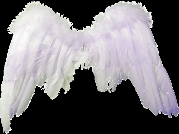 Alas de angel para bebé Photoshop - Imagui