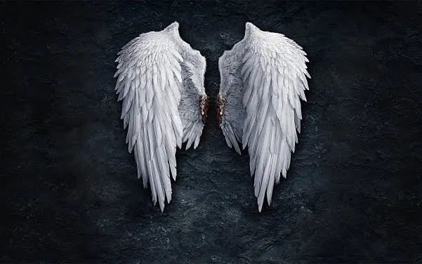 Alas de angeles para fotos - Imagui
