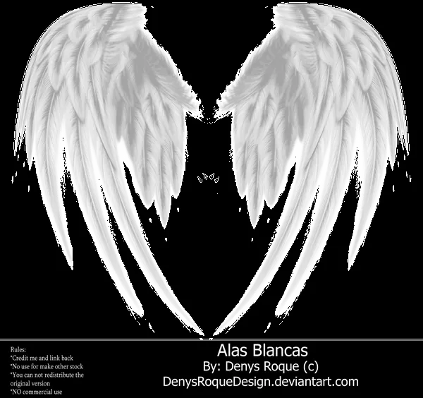 Alas blancas de angel png - Imagui
