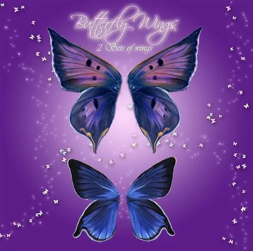 Alas de mariposa | Diseño, ilustraciones vectoriales y recursos gratis Alas de mariposa | Diseño, ilustraciones vectoriales y recursos gratis