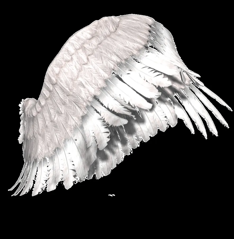 alas png by deyvitoo on DeviantArt