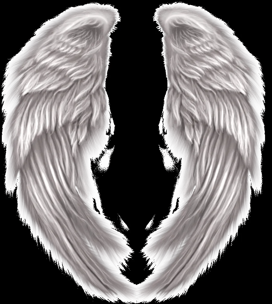 Alas PNG del Fotomontaje de Demi by smilerdemiley on DeviantArt Alas PNG del Fotomontaje de Demi by smilerdemiley on DeviantArt