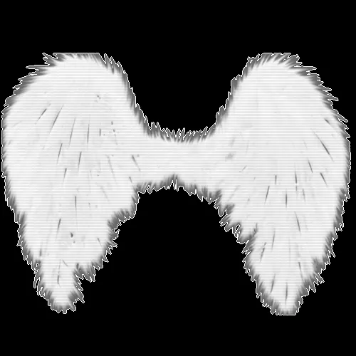Alas de angel para Photoshop png - Imagui