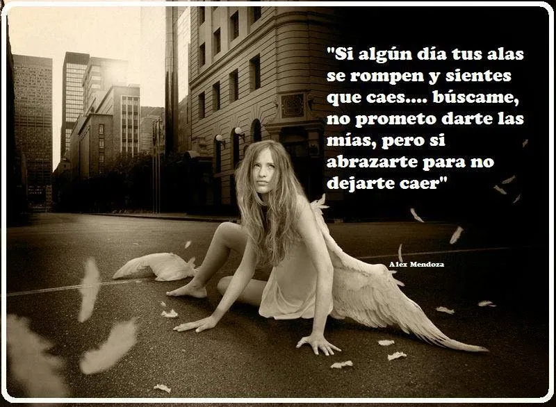 Si algún día tus alas se rompen .... | Frases Si algún día tus alas se rompen .... | Frases
