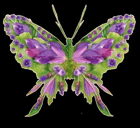 Mariposa de Colores