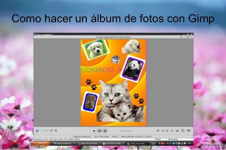 Como hacer un álbum de animales - Imagui