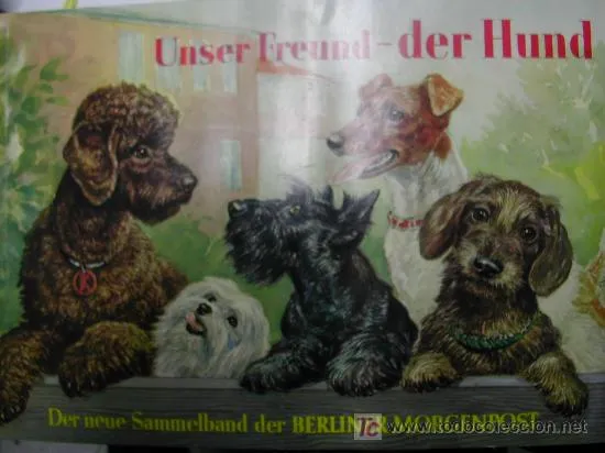 album completo con preciosos dibujos de perros. - Comprar Álbumes ...