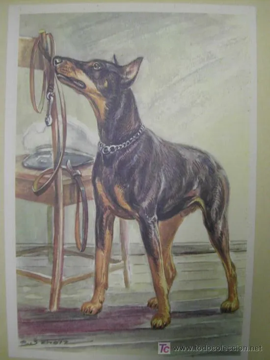 album completo con preciosos dibujos de perros. - Comprar Álbumes ...