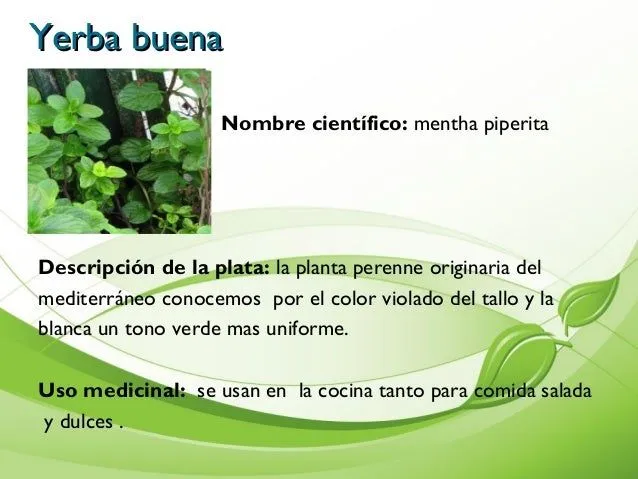 album-de-plantas-7-638.jpg?cb= ...