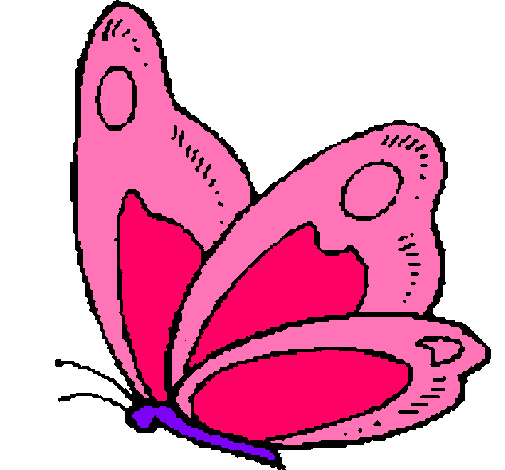 Álbum de dibujos de fernandita.