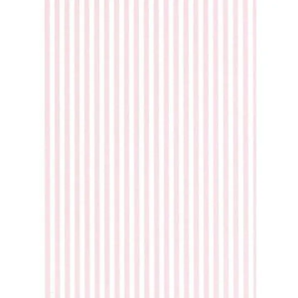 álbum de Lazo Pequeño Rayitas Rosa de Cartródisseny - TodoPapás