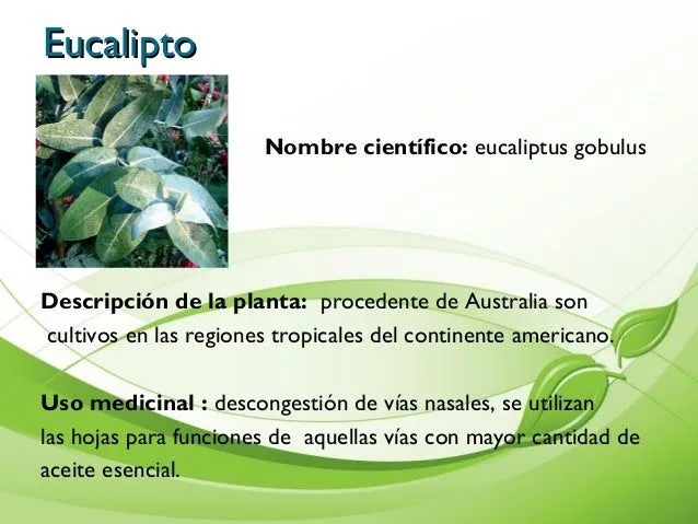 Album de Plantas