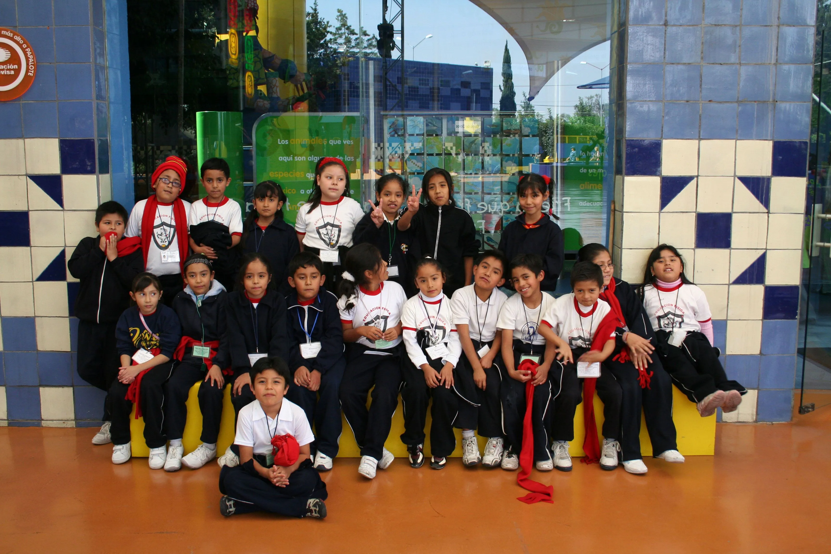 ALBUM DE RECUERDOS DE LA PRIMARIA | interpretarytransformar ALBUM DE RECUERDOS DE LA PRIMARIA | interpretarytransformar