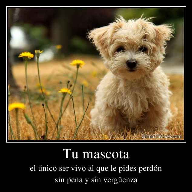 Ale mi amor en mis labios te sé, te reconozco