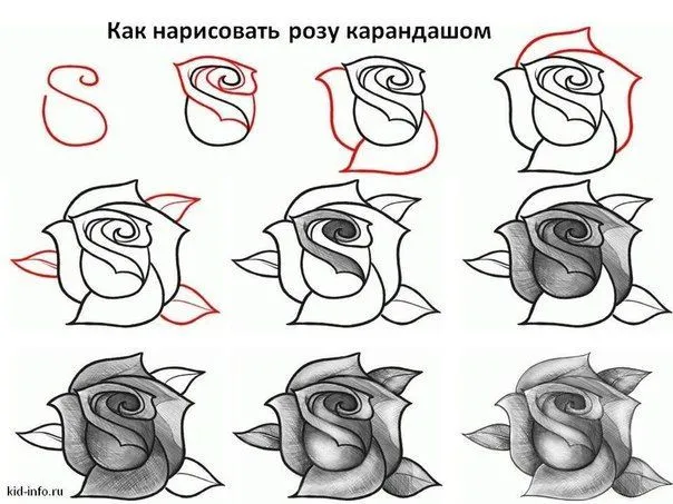 Dibujos paso a paso on Pinterest | How To Draw, Drawing Lessons ... Dibujos paso a paso on Pinterest | How To Draw, Drawing Lessons ...