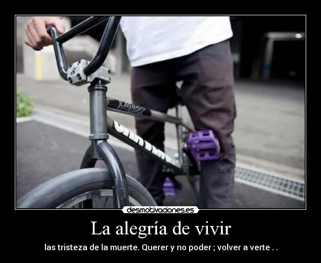 La alegría de vivir - desmotivaciones.