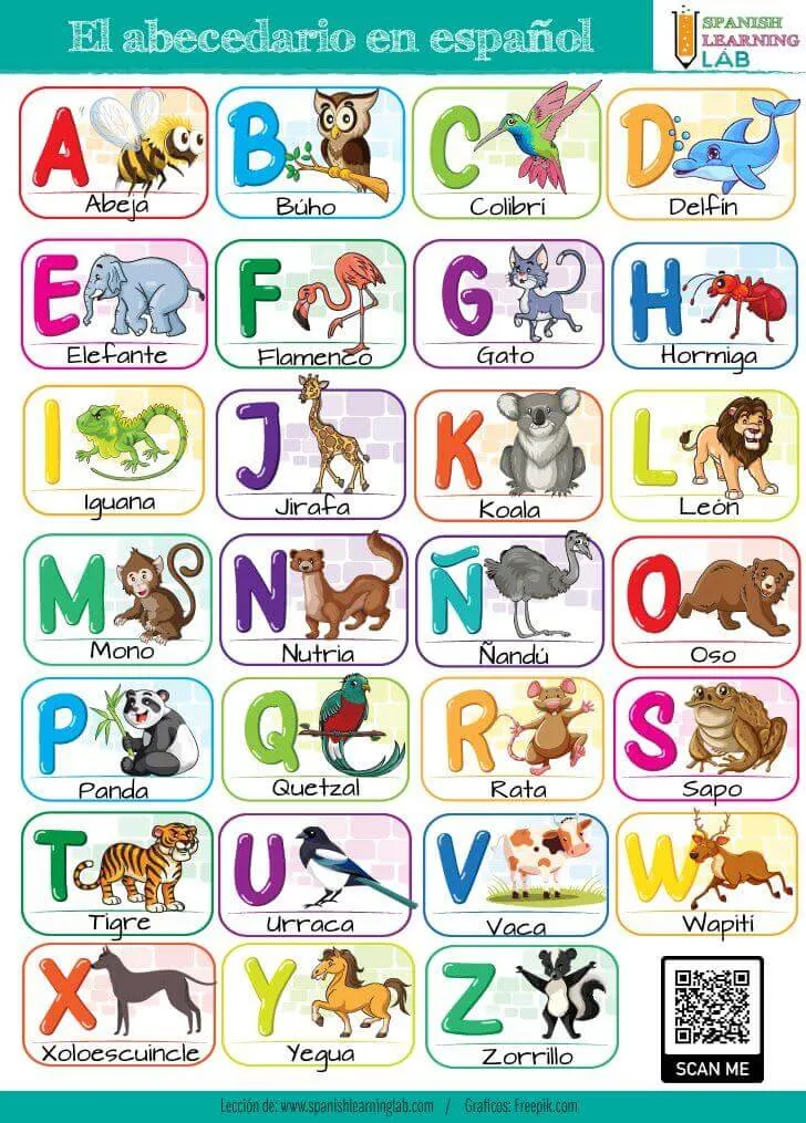 El Alfabeto en Español: Pronunciación y Lista de Palabras - Spanish Learning Lab El Alfabeto en Español: Pronunciación y Lista de Palabras - Spanish Learning Lab