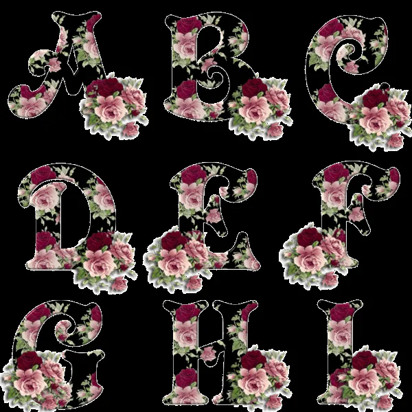 Alfabeto con rosas sobre fondo negro. | Oh my Alfabetos! Alfabeto con rosas sobre fondo negro. | Oh my Alfabetos!